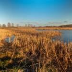 bielik.fishing 14