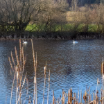 bielik.fishing 19
