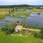 bielik.fishing 20