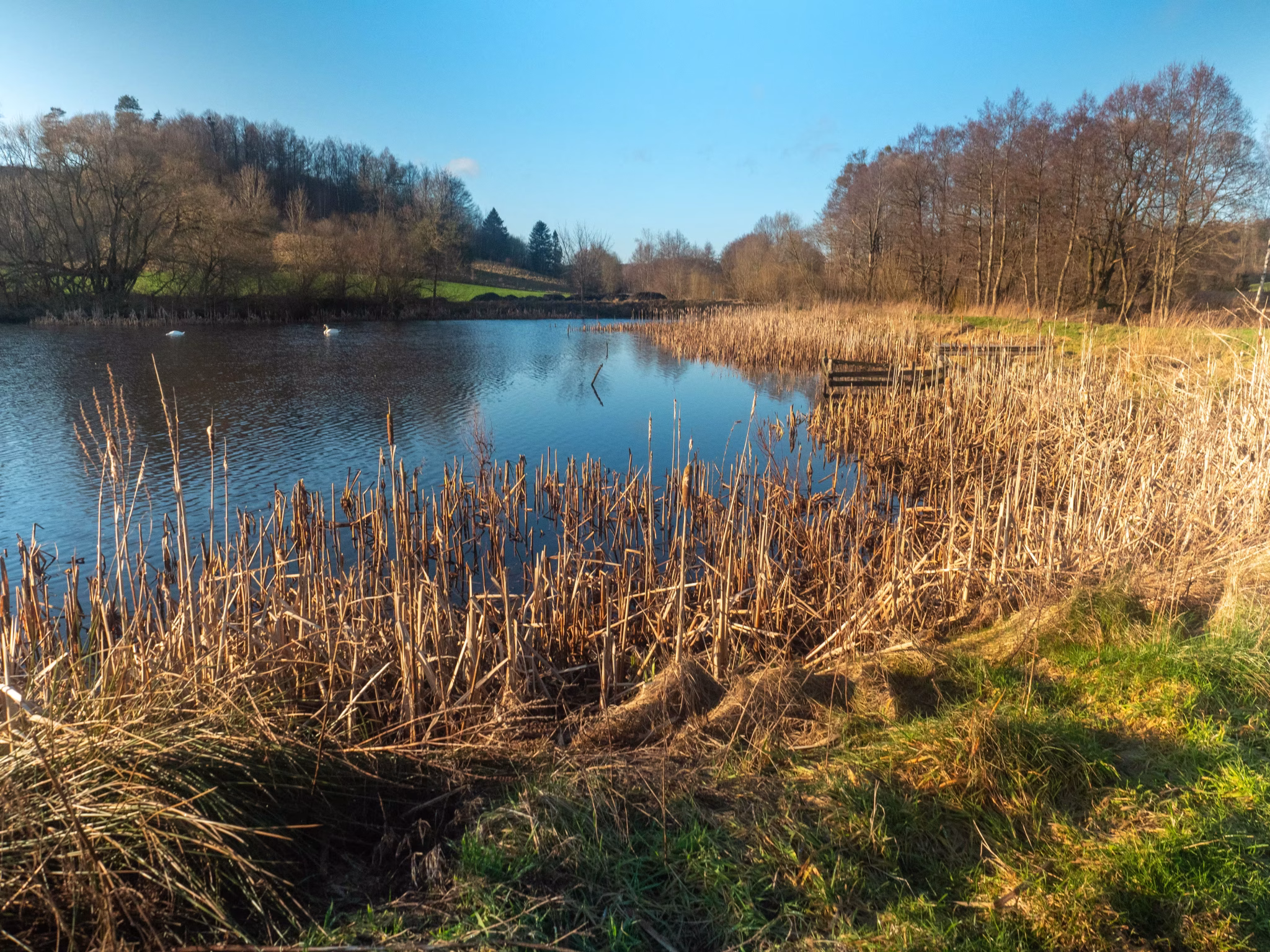 bielik.fishing 3