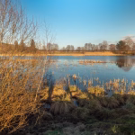 bielik.fishing 4